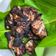 Cooksnap Salina Jalaludin semasa beliau membuat Ayam Bakar Madu (Air Fryer).