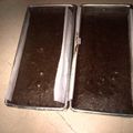 Cooksnap dari marieska meinar sebastian untuk resep Pennylane Brownies