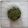 Shyamala Senthil's cooksnap of when they made முளைக்கீரை பொரியல் (Mulaikeerai poriyal recipe in tamil).