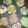Cooksnap dari rhya rafa untuk resep Bolu kukus mekar