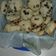 El cooksnap de luda cuando hizo Galletas Cookies.