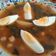 El cooksnap de Sandra cuando hizo Guiso de garbanzos con espinacas.