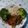 El cooksnap de Erick Estrada cuando hizo Chop Suey.