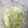 El cooksnap de Gabriela cuando hizo Ensalada de pepinos con laban.