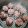 Cooksnap dari fenny eldora untuk resep Kue Mangkuk Mekar Anti Gagal