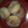 yasmeen's cooksnap of when they made Doughnut.