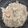 El cooksnap de Emy cuando hizo Risotto con gambas.