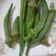 小喵 的 燙青菜～秋葵 cooksnap