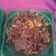 Cooksnap dari Lindaa untuk resep Beef teriyaki ala hokben