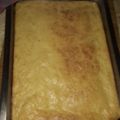 El cooksnap de yliana cuando hizo Faina de queso en licuadora 🧀.