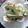 El cooksnap de Irma González cuando hizo "Tacos" de lechuga con champignons.