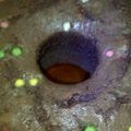 Cooksnap dari Marliza Siregar untuk resep Chocolate Chiffon Cup