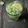 Cooksnap dari Mutiarisa untuk resep Es Timun AloeVera