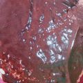 Cooksnap dari Eni Istiana untuk resep Selai Cokelat Homemade