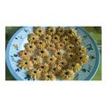 Cooksnap dari Novadyana untuk resep Kue kering semprit