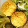 Cooksnap de Aureliana quando cozinhou Falafel de grão e abóbora.