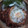 Cooksnap dari marsila untuk resep Nasi goreng kencur