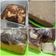 Cooksnap dari Ummu Adnan untuk resep 2⁹. Bolu kukus tape eggless