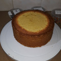 anita 's cooksnap of when they made Vanilla Sponge Cake.