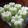 Cooksnap dari Saras wulasih Febriani untuk resep Putu Ayu 2 Telur Super Lembut