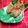 Cooksnap dari wentz untuk resep AYAM CRISPY