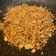 Cooksnap dari Rizki Meylisa Malau untuk resep Mi goreng burung dara simpel bekal buat anak dijamin enduuullllz