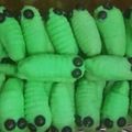 Cooksnap dari Arya Moms untuk resep Kue kering ulat daun