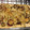 El cooksnap de Beltza cuando hizo Tarta de calabacín.