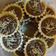 Cooksnap dari Ida Romayani untuk resep Pie Brownies