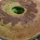 Cooksnap dari Teten Widya Warman untuk resep Bolu Pandan Asli