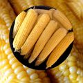 Сooksnap від 🇺🇦Вікторія Максимець💛💙, який(а) приготував(ла) Цукрова варена кукурудза.