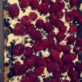 Ariel Valenzuela's cooksnap of when they made Red, White and Blueberry Squares.