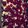 Ariel Valenzuela's cooksnap of when they made Red, White and Blueberry Squares.