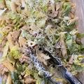 Elyse Rose's cooksnap of when they made Chicken Caesar pasta salad.