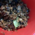 Cooksnap dari Shinta_nda Deva Saila untuk resep Cue tongkol suwir paling simple!