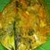 Cooksnap dari Citra Aftria Hastin untuk resep 45. Pesmol Ikan Kembung