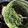 Cooksnap-ul lui marius petrovai atunci când a preparat Sos Chimichurri.