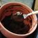 El cooksnap de laurascarchelli cuando hizo Crema de chocolate (Maicena).