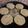 El cooksnap de Lian Prodo cuando hizo Hamburguesas de lentejas.