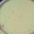 El cooksnap de ZayLucMar cuando hizo Pay de queso.