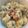 Alexandra Nicole Zurhorst's cooksnap of when they made Champagne/Truffle Mac-n-Cheese Wild Mushrooms, Pancetta & Smoked Gouda.