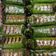 Cooksnap dari yuyun untuk resep Lemper Ayam (Mirip Lemper Holland Bakery)