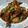 Cooksnap dari Wenny Kaps untuk resep Sayap Ayam Saus Teriyaki