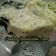 Cooksnap dari Happy Stevany untuk resep Oreo Cheesecake maknyuss