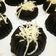 Cooksnap dari mutheee untuk resep Lava cake chocolatos tabur keju