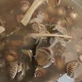 Cooksnap dari Agita Hinata untuk resep Kerang rebus kuah gurih