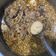 陳韻竹 的 凱•滷肉飯 cooksnap