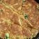 Cooksnap dari Whosy Whoreary untuk resep Telur Dadar Kubis