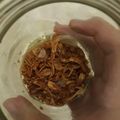 Cooksnap dari DAPUR BUNDA❣ untuk resep Bawang Goreng Garing Renyah