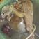 Cooksnap dari Dw's Kitchen untuk resep Tim Ayam obat ala mami (Chinese Herbal soup homemade)